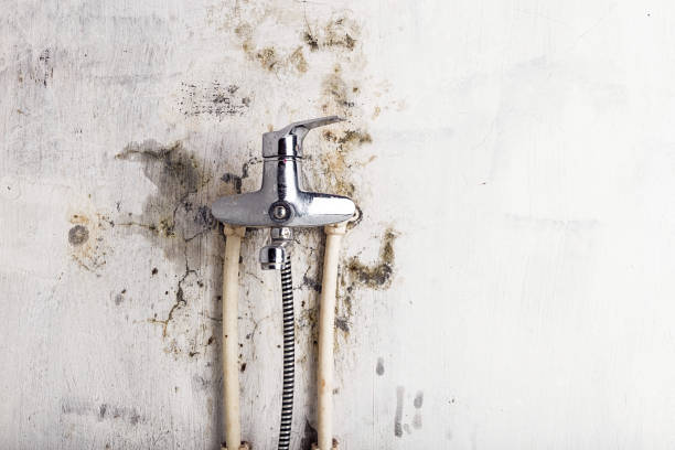Best Black Mold Removal  in Glen Burnie, MD